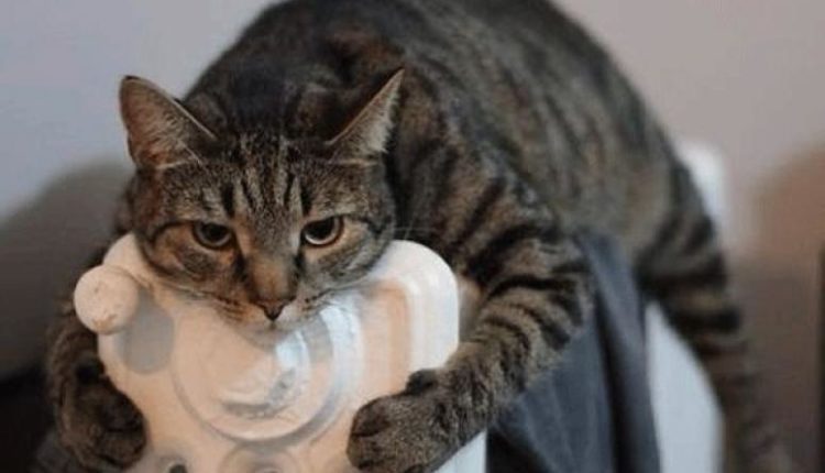 Готов ли Южный Урал к раннему похолоданию?