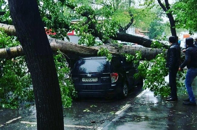На Москву обрушился ураган. Есть жертвы. ФОТО, ВИДЕО
