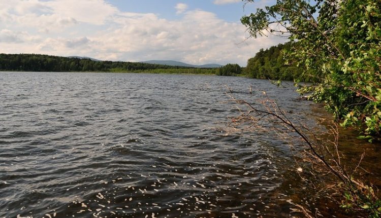 «Фекальный беспредел». На Южном Урале – очередное экологическое бедствие